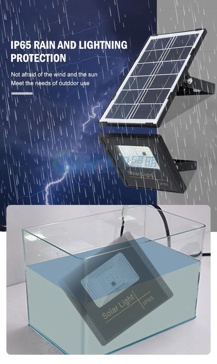 solar security light