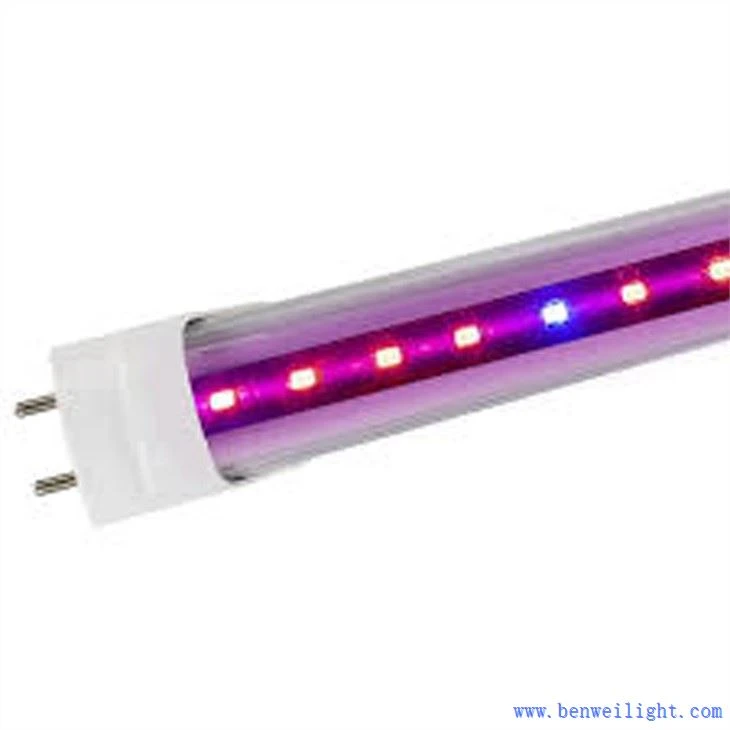 grow light and stand