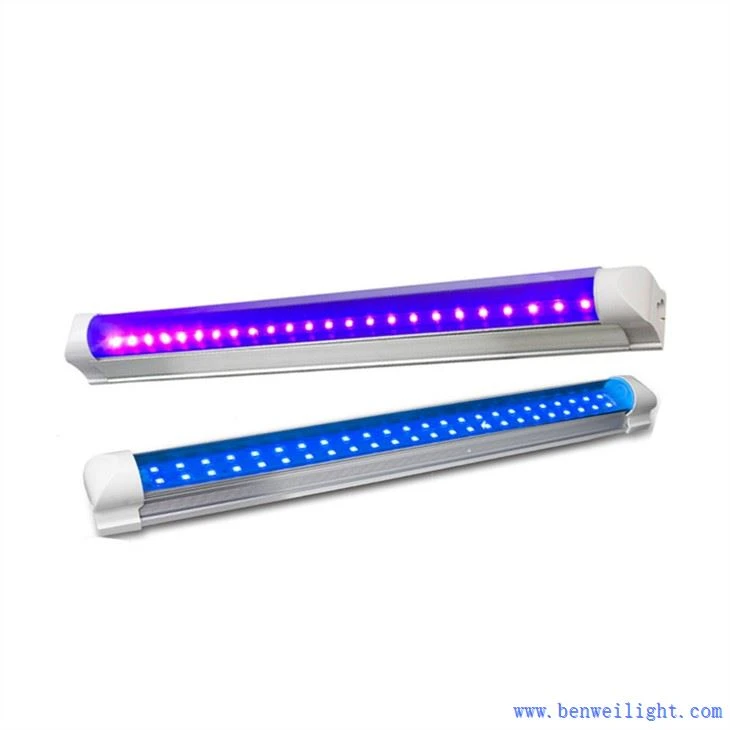 Lampa LED UV 10 W Cena świetlna
