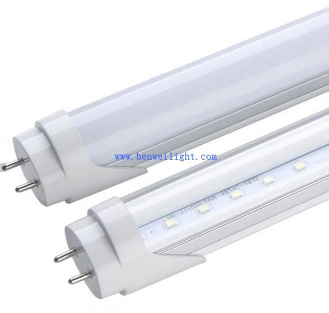 Żarówka Led T8
