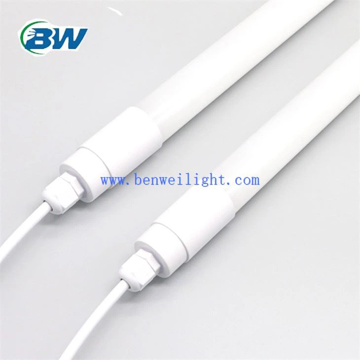 Oświetlenie fermy drobiu