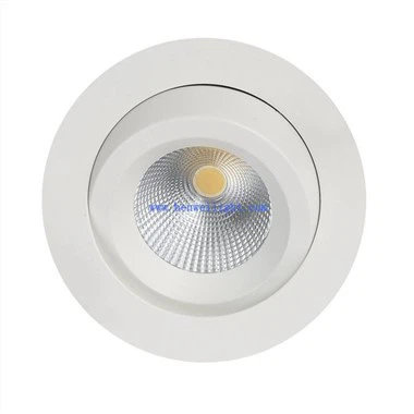 Downlight Sklep Led Lights