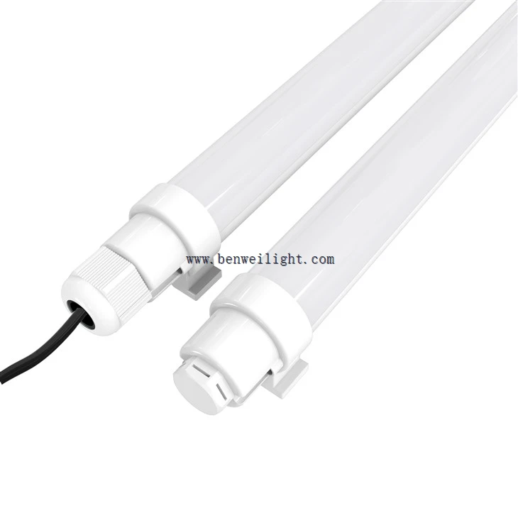 12v Poultry Lighting