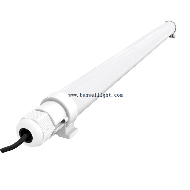12v Poultry Lighting