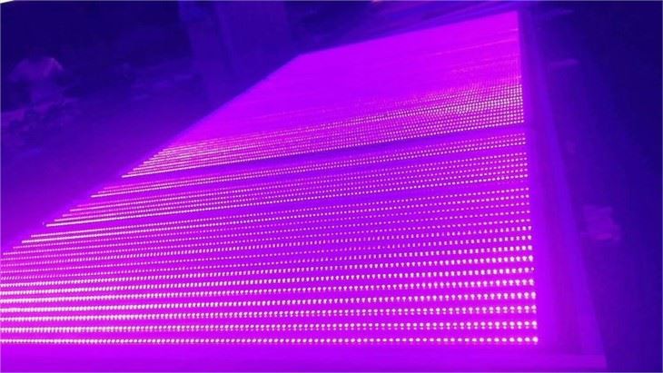 Świetlówki Blacklight