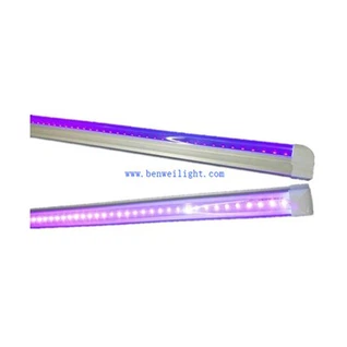 Świetlówka LED T5 UV 2 stopy