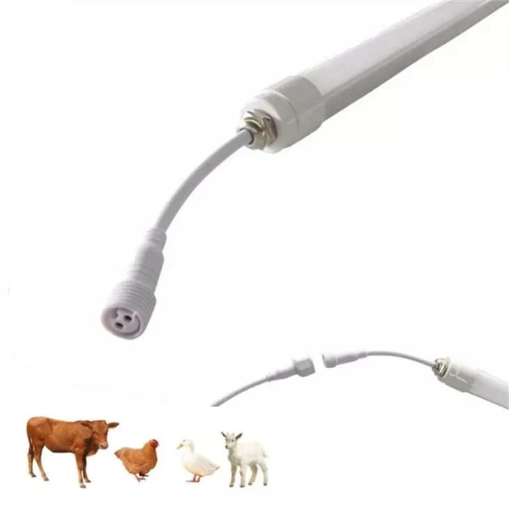 Lampka LED do hodowli bydła mlecznego