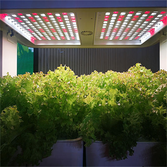 Hydroponic Breeding Machine suppliers