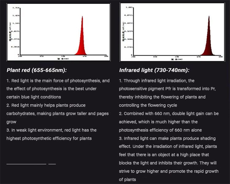 info-750-600 info-750-600