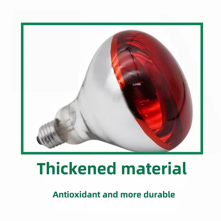 product-750-750
