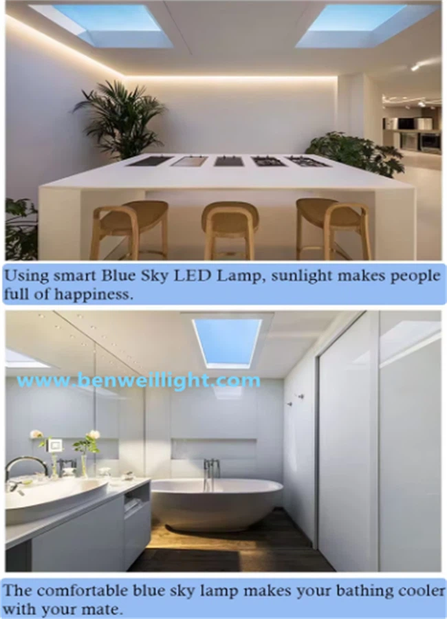 product-650-900 product-650-900