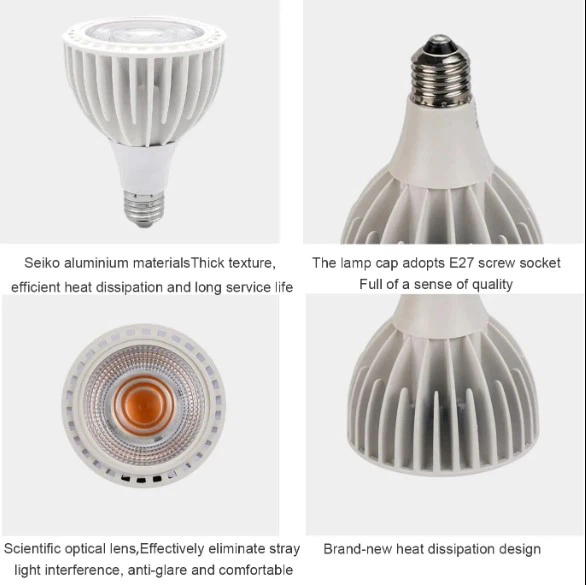 product-586-585 product-586-585