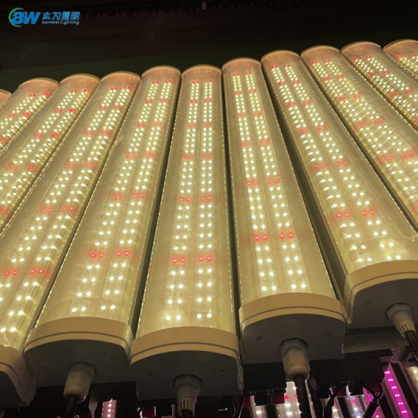 product-600-600 product-600-600