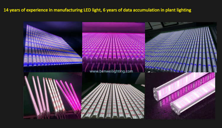 product-750-433 product-750-433