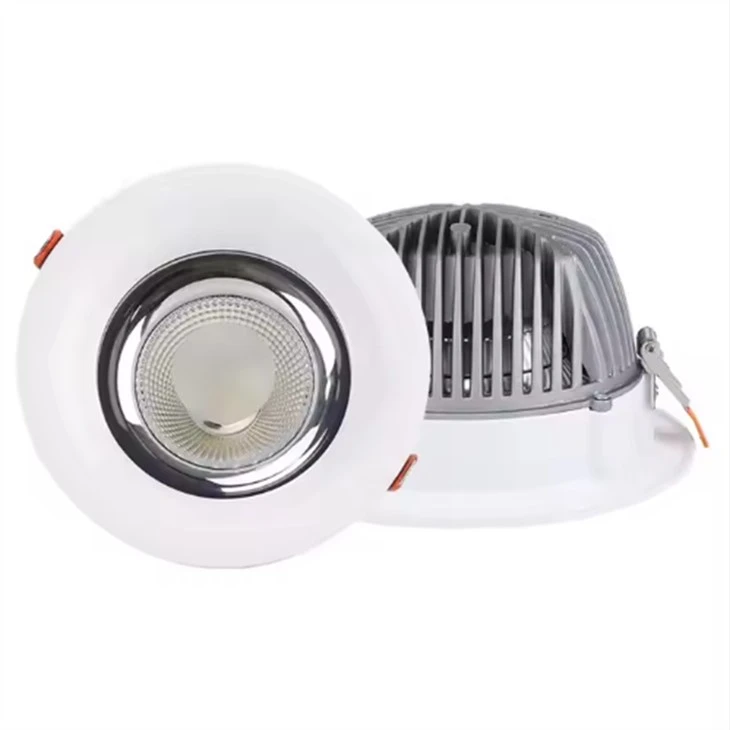 Oprawa wpuszczana typu Downlight LED z możliwością oświetlenia punktowego