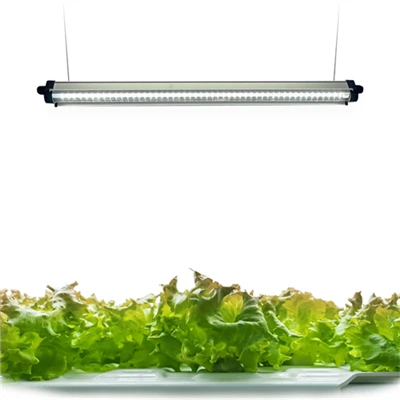 240 diod LED Pełne spektrum pasków świetlnych do uprawy roślin z automatycznym wyłącznikiem czasowym 3/9/12 godzin