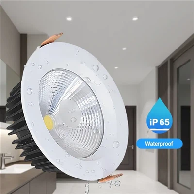 Oprawa wpuszczana typu Downlight Ledinaire